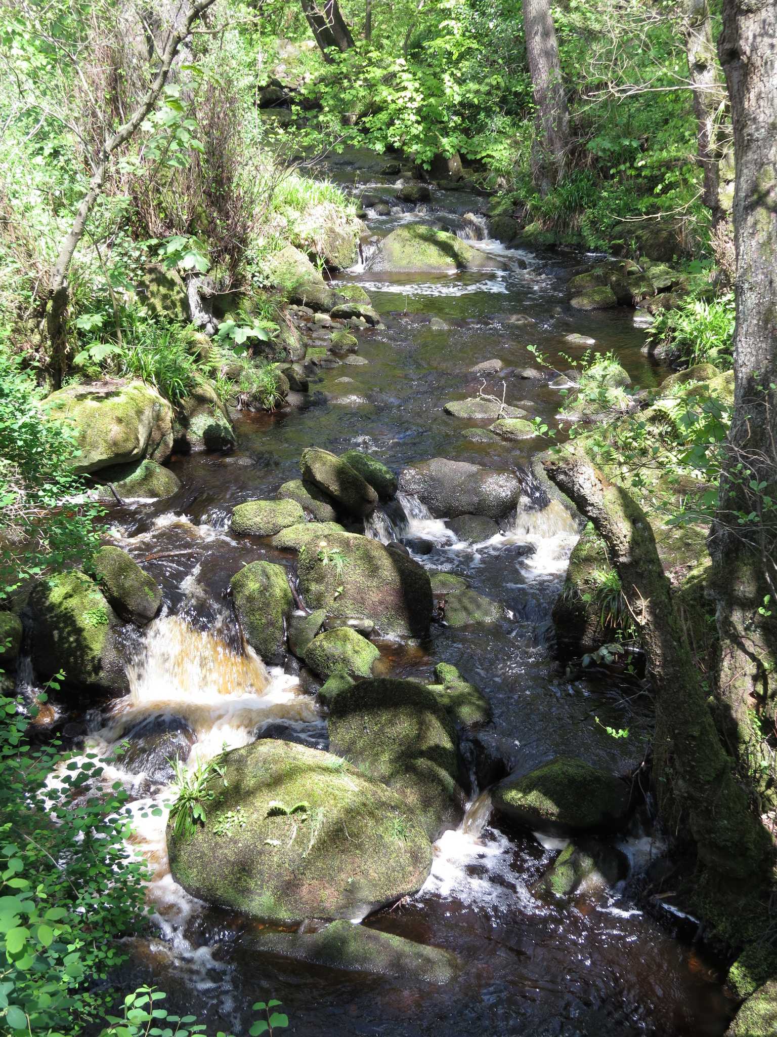 River flowing around stones